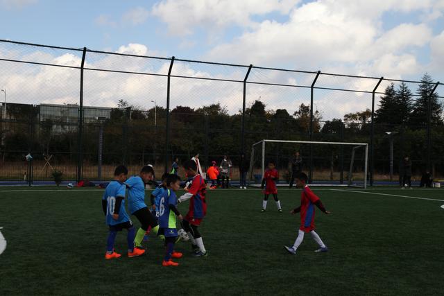 英超夺冠赔率：阿森纳1.44一骑绝尘 曼联升第4